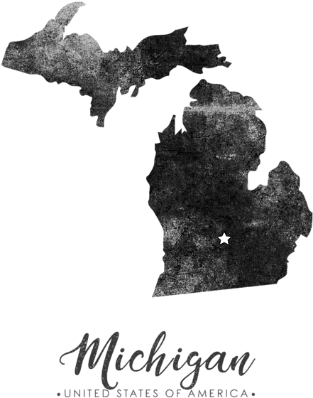 Bleed Area May Not Be Visible - Michigan Counties 2016 Election (560x700), Png Download