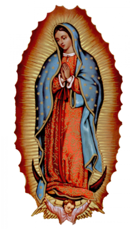 Our Lady Of Guadalupe Png (800x800), Png Download