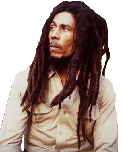 Bob Marley Png - Bob Marley En Png (445x691), Png Download