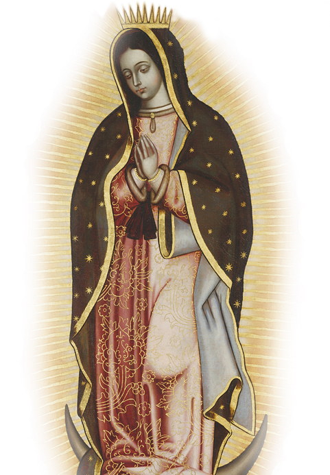 Virgen De Guadalupe - Virgen De Guadalupe Png (480x715), Png Download