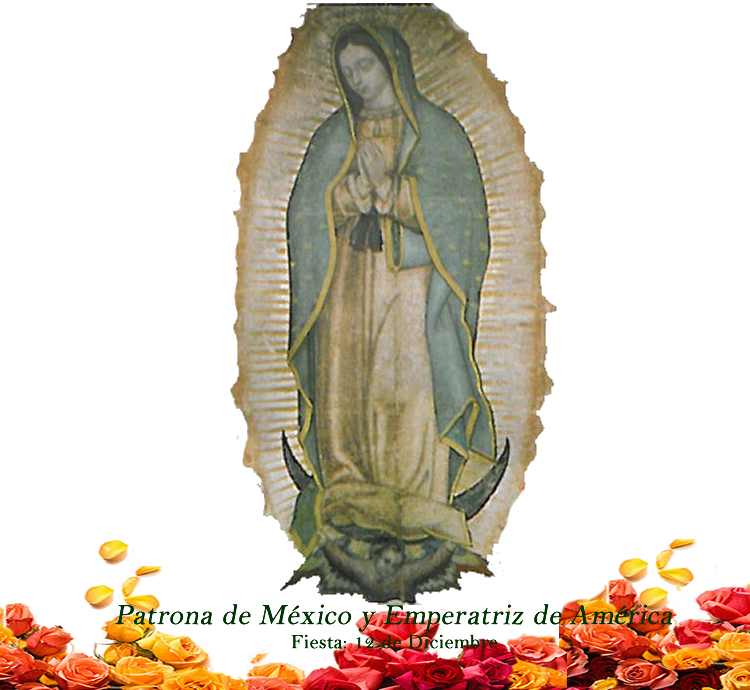 Basilica Of Our Lady Of Guadalupe (750x690), Png Download