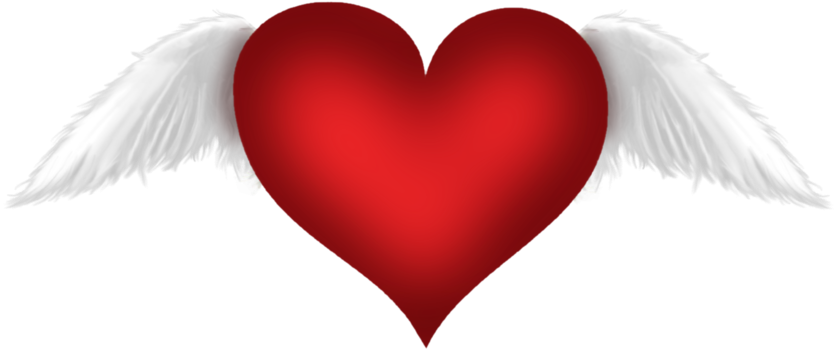 Transparent Rose Heart Png Clipart Picture - Red Heart With Wings (899x430), Png Download