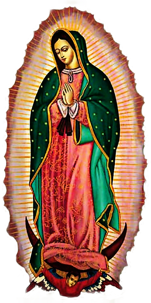 Icona Madonna Di Guadalupe Cm 15x30 (480x964), Png Download
