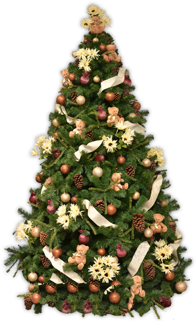 Real - Christmas Day (419x639), Png Download