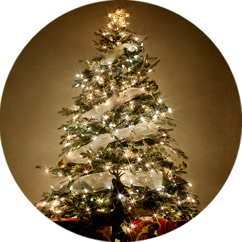 Dale A Tu Árbol Un Aspecto Elegante Y Vístelo Con Moños - Chanbly Outlet Type 34ft 100 Led Led Lamp String Light (472x473), Png Download