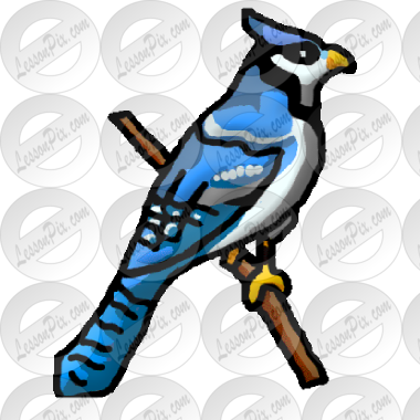Blue Jay Clipart - Blue Jay (380x380), Png Download