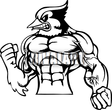 Blue Jay Clipart Head - Drawing (361x353), Png Download