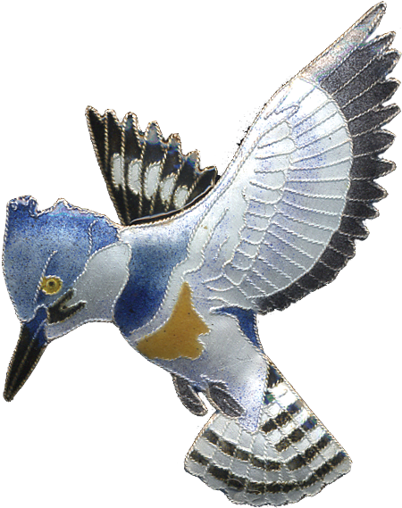 Kingfisher Png Photos - Belted Kingfisher Png (500x500), Png Download