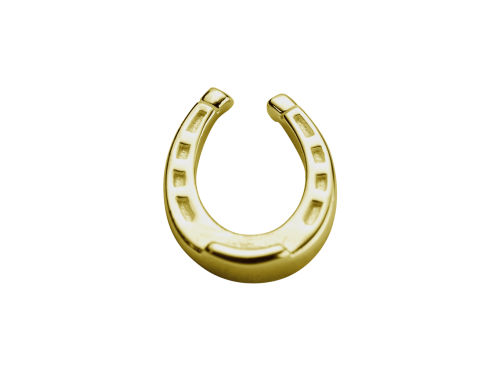 Stow 9ct Lucky Horseshoe Charm Image - Circle (500x376), Png Download