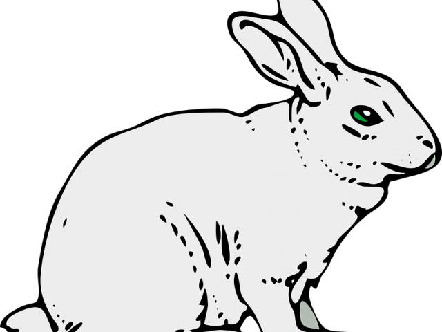 Drawn Bunny Mammal - Rabbit Clipart (640x480), Png Download