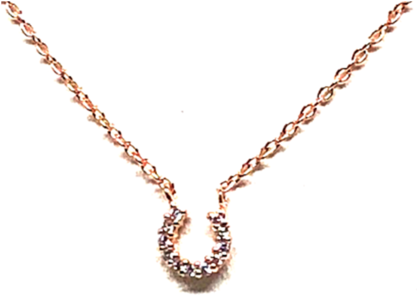 Tiny Pave Horseshoe Necklace - Necklace (600x447), Png Download