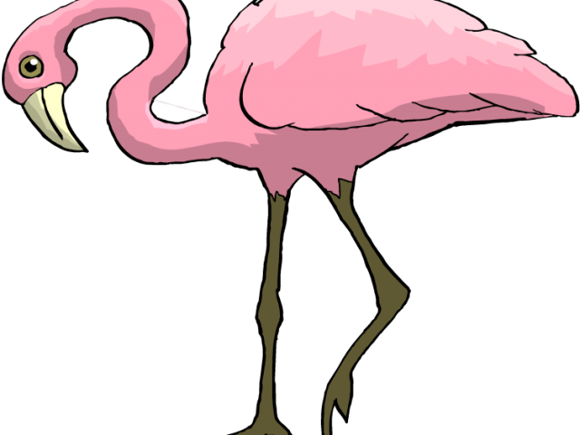 Flamingo Clipart Pink Animal - Clip Art Animals With Two Legs (640x480), Png Download