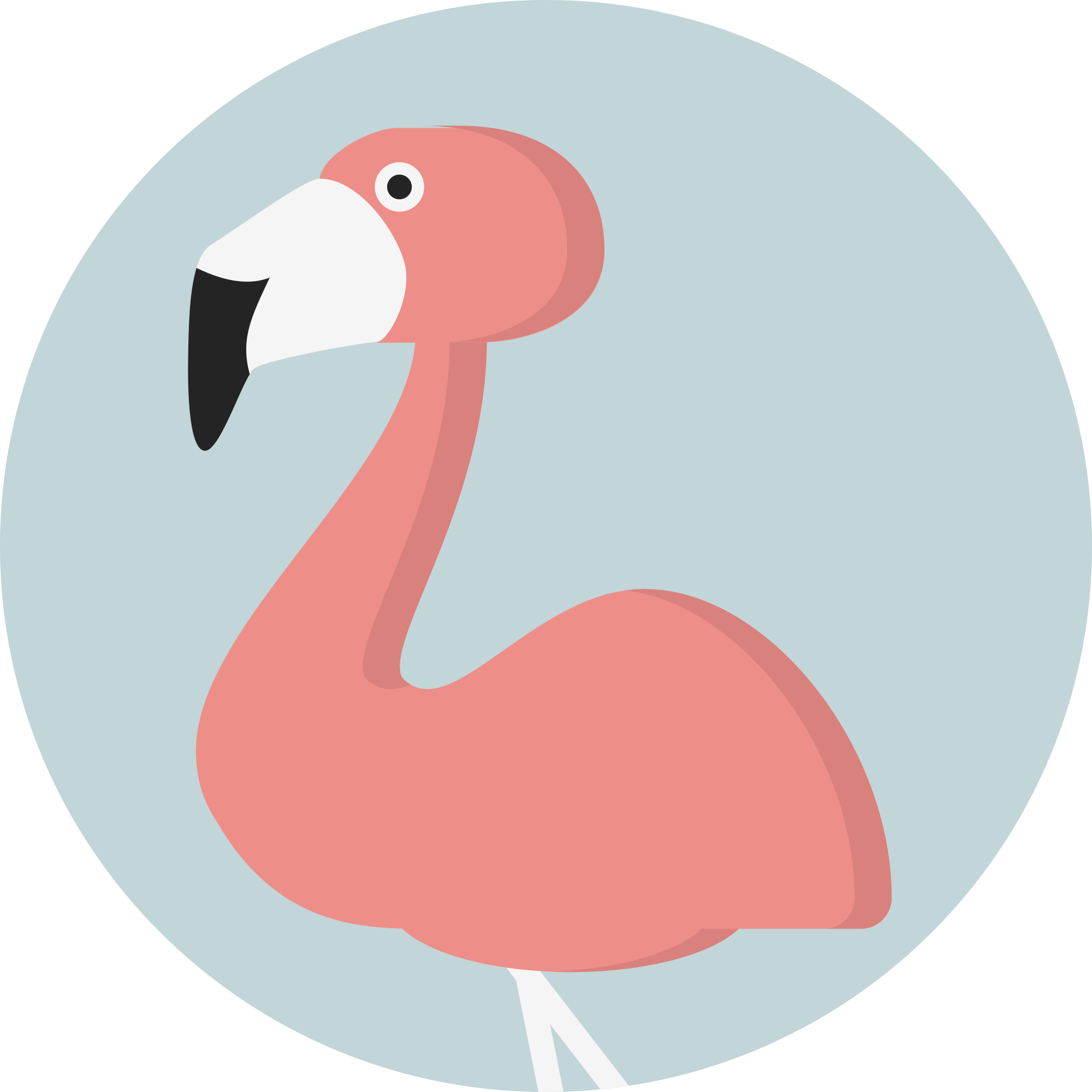 Png Transparent Images - Flamingo Icon (2000x2000), Png Download