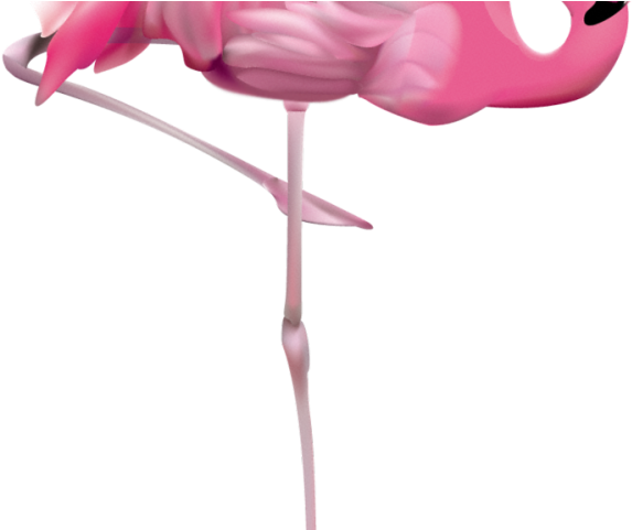 Flamingo Clipart Glass - Clipart Pink Flamingo Png (640x480), Png Download