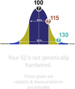 Iq Bell Curve 2 - Iq Bell Curve (309x471), Png Download