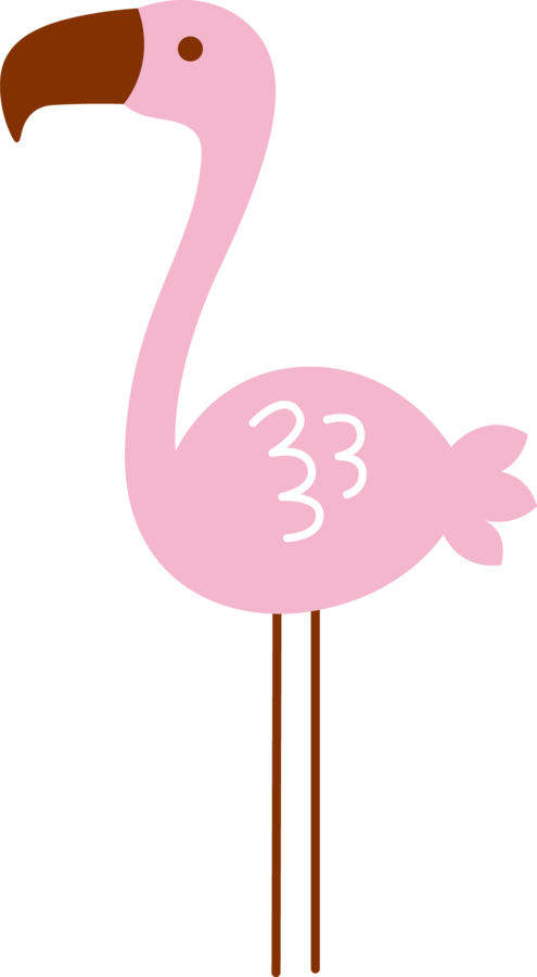 Flamingo Clipart Glamper - Flamingo Tropical Png Minus (495x900), Png Download
