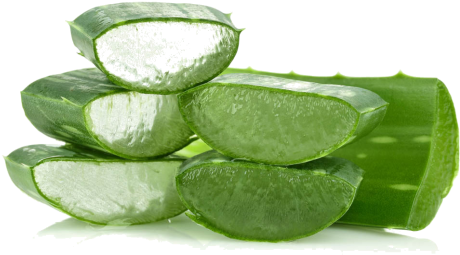Aloe Vera Gel Is Found In Hundreds Of Skincare Products - Aloe Vera Lip Gloss (531x339), Png Download