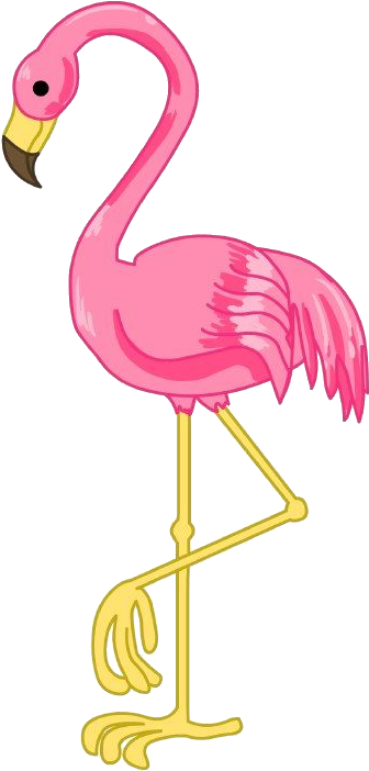 Clip Library Stock Pin By Danielle Batog On Clip Art - Flamingo Clipart Free (340x709), Png Download