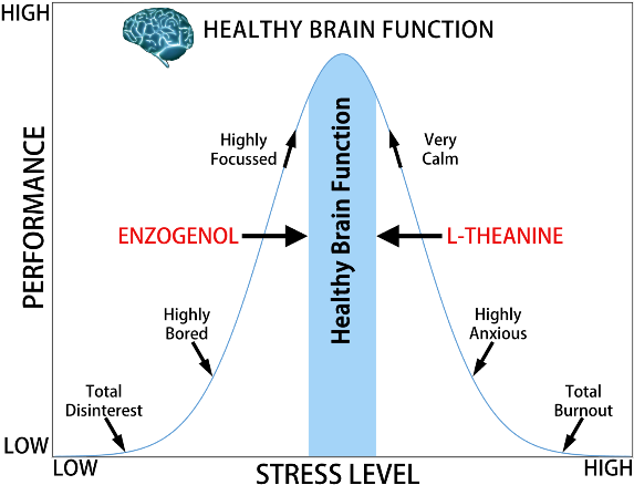 Stress Performance Bell Curve Taps-894 - Enzo Nutraceuticals Ltd (600x464), Png Download