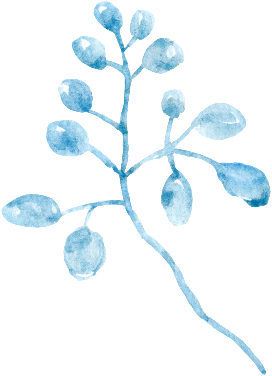 Waterdrop Flower Branch Cartoon Transparent - Cartoon (1024x1313), Png Download