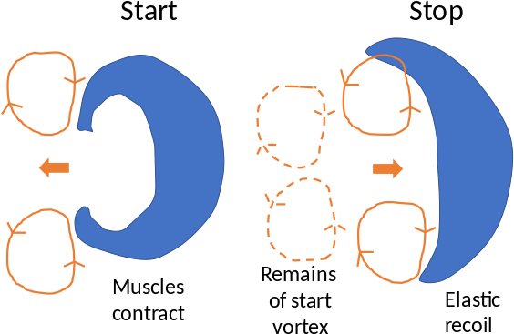 Banner Stock Huge Freebie Download For - Wikimedia Commons (580x409), Png Download