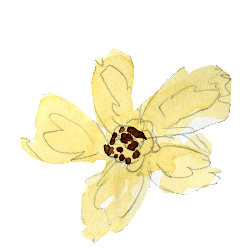 Png Transparente Para La Luz Estambres Amarillos Ornamentales - Artificial Flower (1024x1066), Png Download