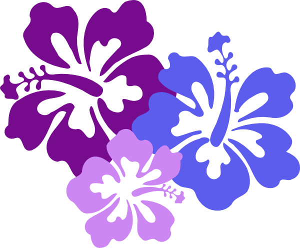 Hawaiian Flower Border Clip Art Hibiscus Hi - Hawaiian Flowers Clipart (600x496), Png Download