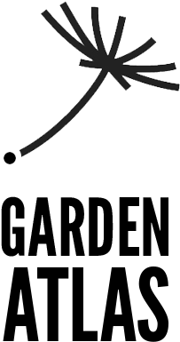 Cute Cameron Dallas Shirts (309x470), Png Download