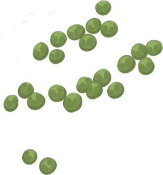 File - Peas - Peas Png (437x480), Png Download