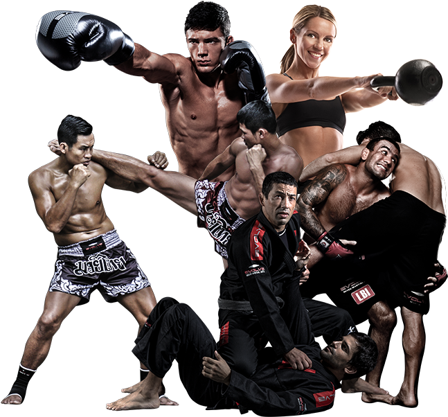 Mixed Martial Arts Fight Png High Quality Image - Jiu Jitsu E Muay Thai (650x621), Png Download