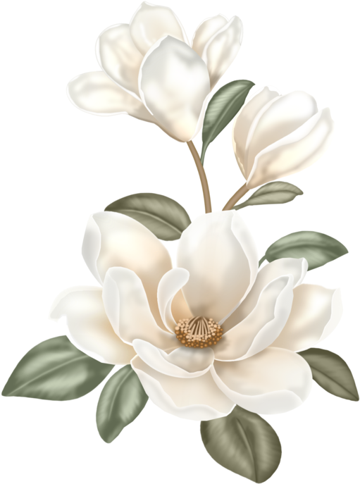 0 B91ab 1ff558ab Xl - Flower Clip Art Boho (525x700), Png Download