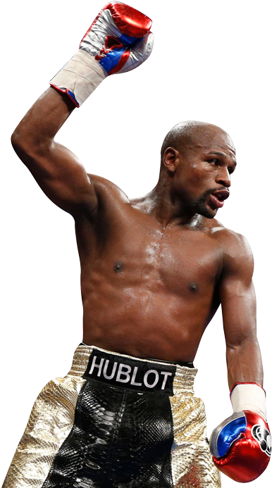 Tale Of The Tape - Floyd Mayweather Cut Out (500x700), Png Download