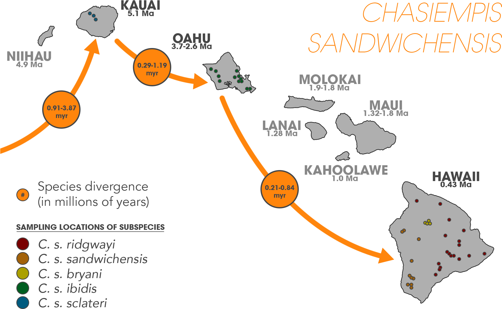 Elepaio Colonization Of Hawaiian Archipelago - Diagram (2000x1298), Png Download