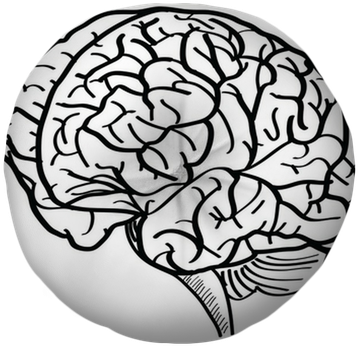 Human Brain Vector Outline Sketched Up - Brain Vector (400x400), Png Download