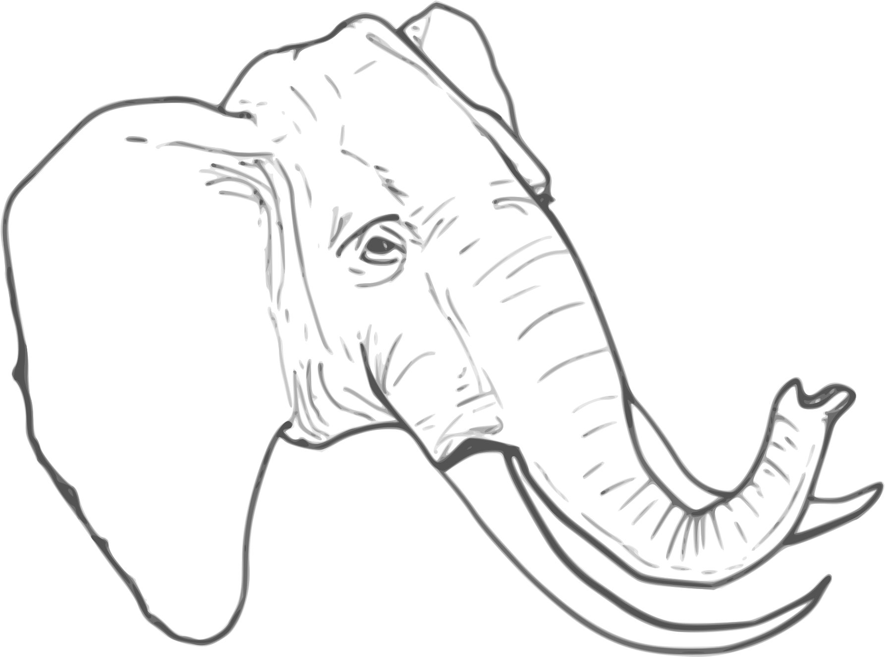 Open - รูป ช้าง ลาย เส้น (2000x1750), Png Download