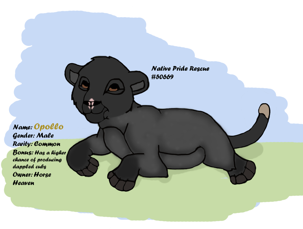 Opollo - Cartoon (1072x800), Png Download