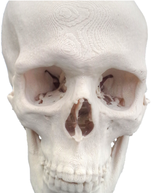 Gnu Free Documentation License (390x390), Png Download