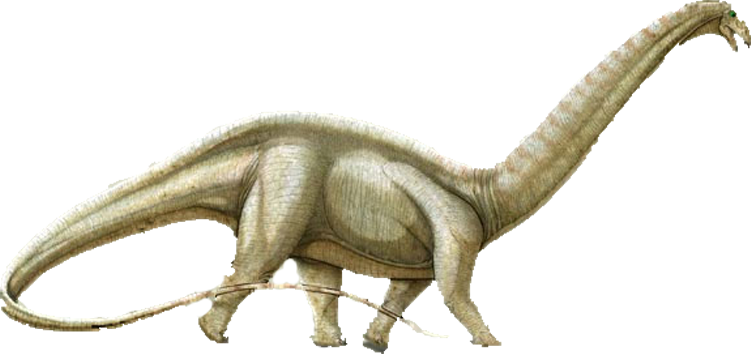 Brontosaurus - Cretaceous Period Dinosaurs (751x354), Png Download