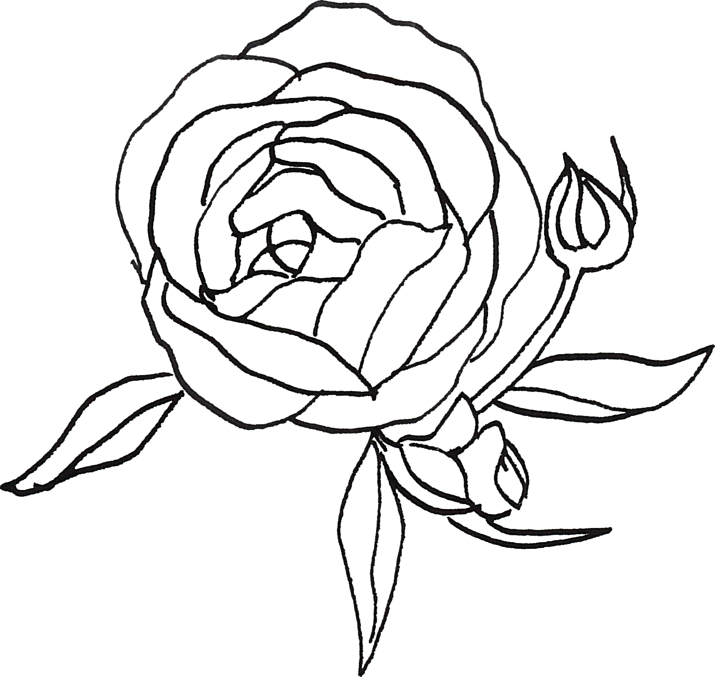 0℃素材198 - Portable Network Graphics (1468x1390), Png Download