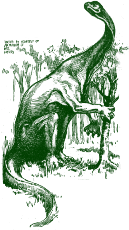 The Brontosaurus, Has It Survived - Lesothosaurus (500x750), Png Download