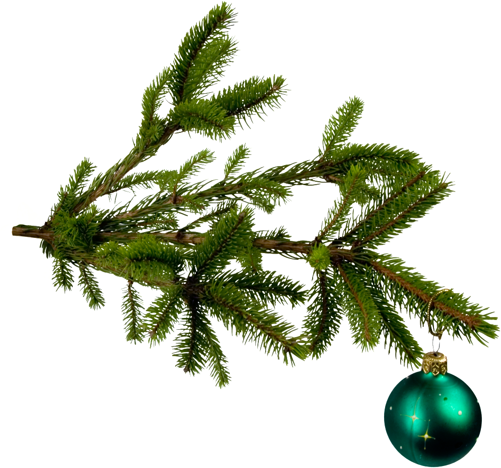 Xmas Tree Branch Png (1024x958), Png Download