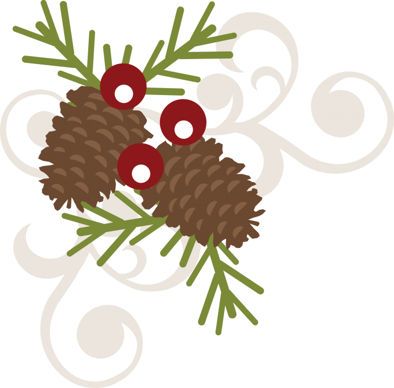 Berry Swirl Svg Free File Scrapbooking Christmas - Transparent Christmas Pine Cones (800x788), Png Download