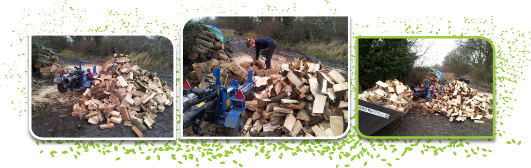 Logs Delivered To You - Tree (1104x348), Png Download