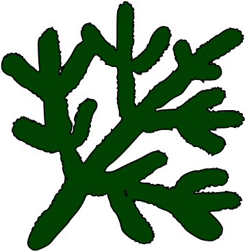 I Was Discouraged When I Could Not Find The Martha - Branch (378x386), Png Download