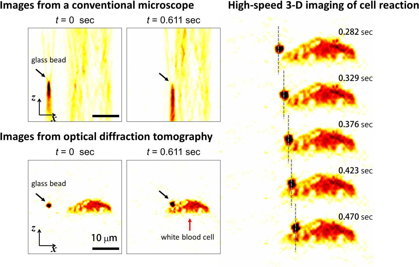 High Speed 3 D Images Produced From Optical Diffraction - Pest (1500x944), Png Download
