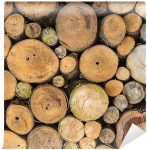Wood (400x400), Png Download