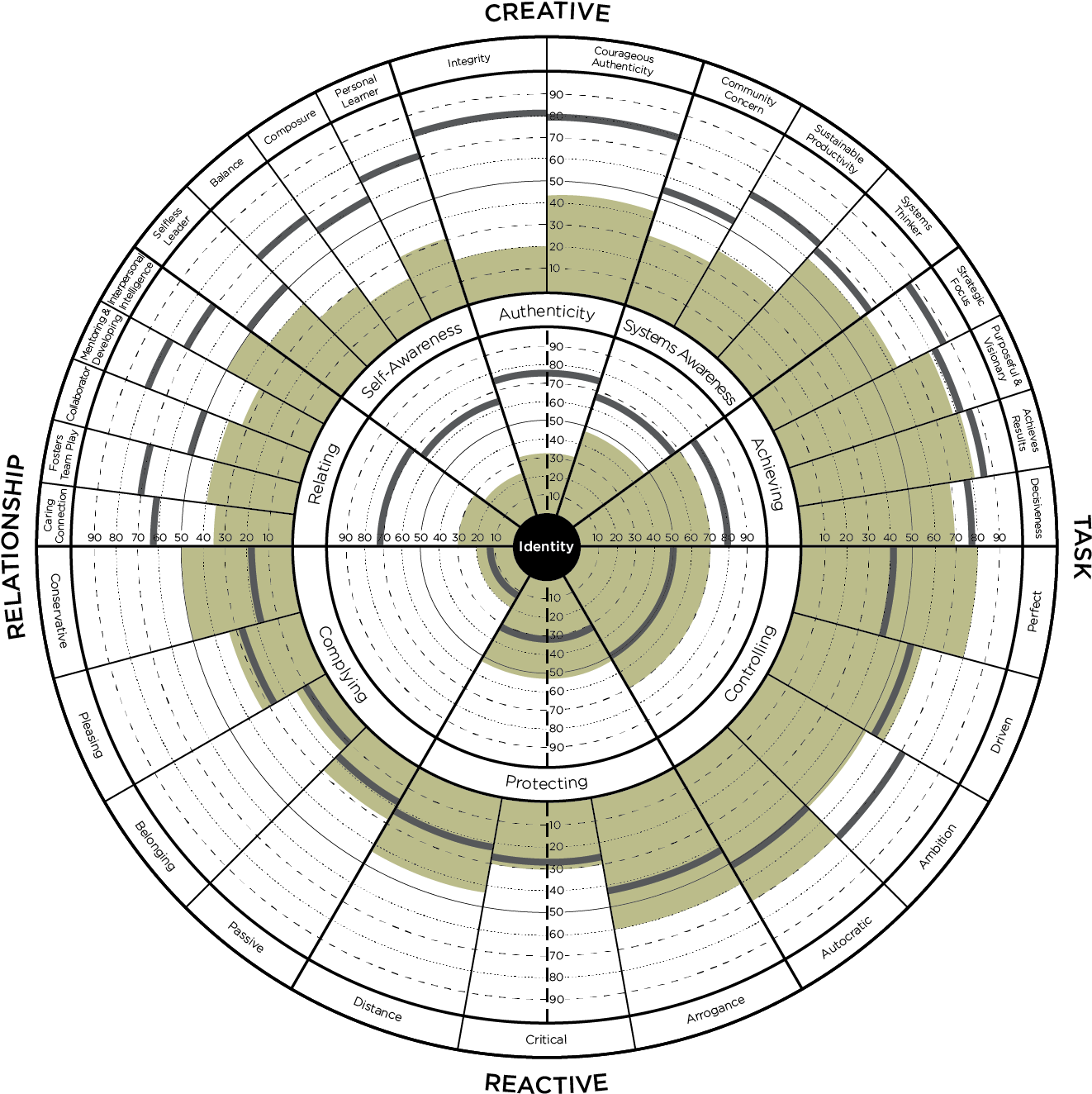 Leadership Circle Profile - Leadership Circle Manager Edition (1330x1332), Png Download