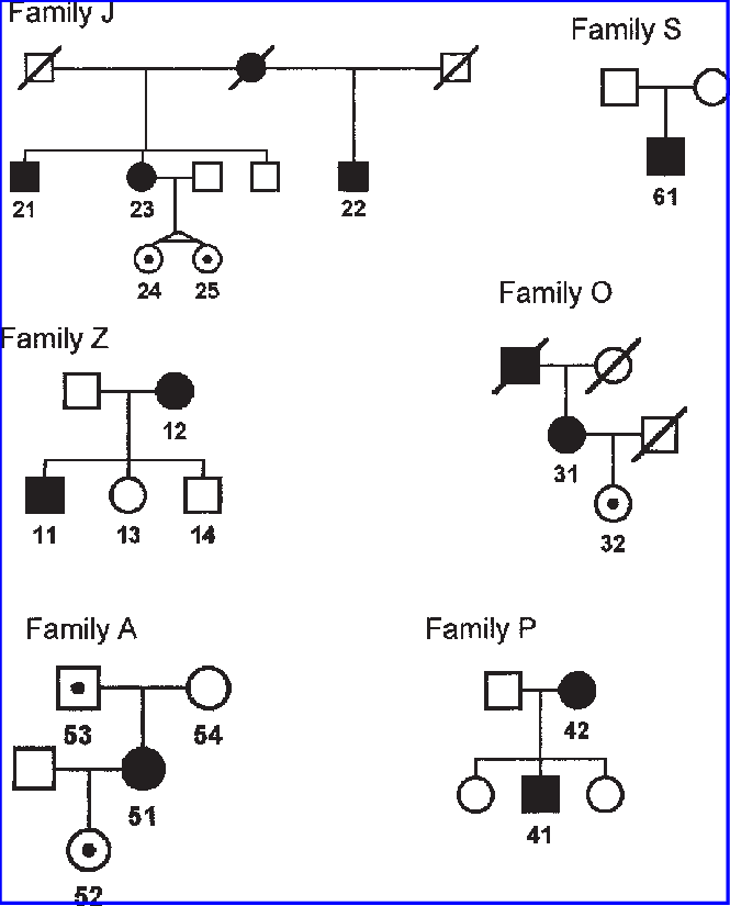 Circle, Woman - Diagram (665x825), Png Download