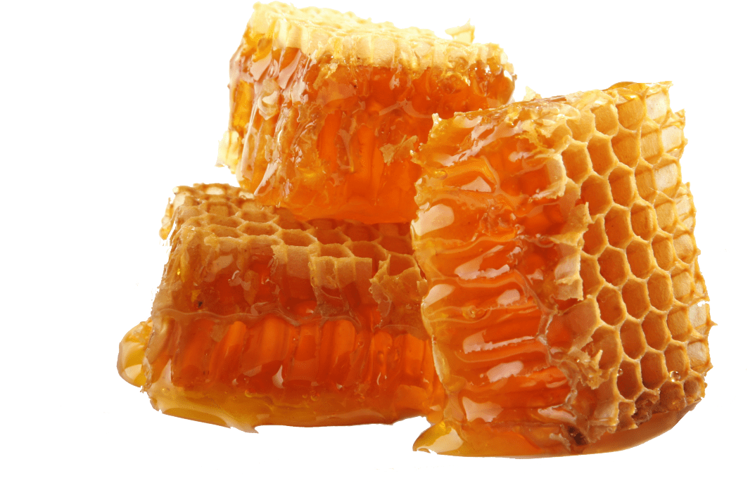 Download - Honey Png (1178x870), Png Download