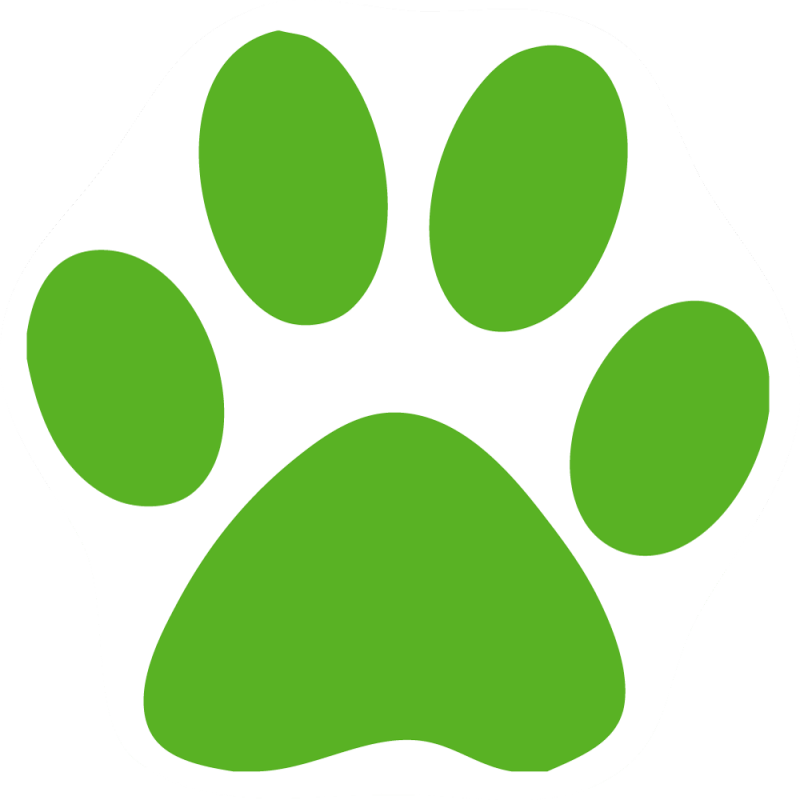 Custom Cat Paw Car Magnets - Cat Paw Print Green (800x800), Png Download